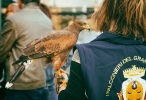 Servizi fotografici per professionisti pet